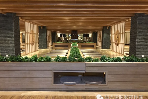 合肥茶艺新地标揭秘：品茶工作室打造茶界新地标